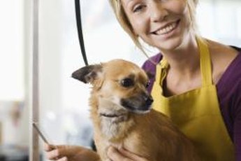 A nervous dog may need a muzzle until she learns grooming doesn't hurt.