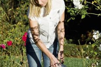 Organic and inorganic fertilizers work in different ways in your soil.