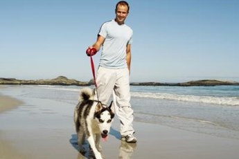 Always make sure that your husky is safe and cool during warmer months.