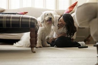A happy dog getting attention from his owner.