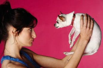 Older dogs can be more challenging to train because their habits are ingrained.
