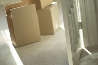 Cats and cardboard boxes go together like peanut butter and jelly.