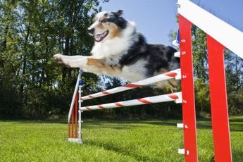 Practice your handling skills for a more fluid run.