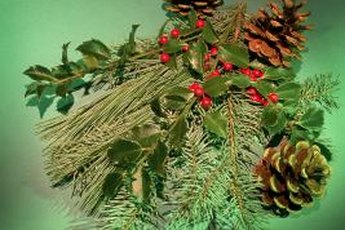 Evergreens make for festive decorations, but they also make for toxic cocktails for cats.