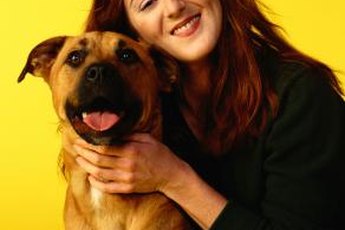Besides hunting, mountain cur dogs also like hugging.