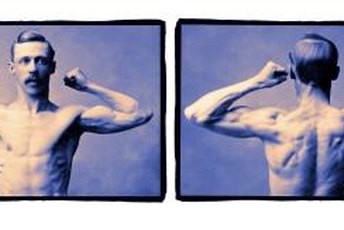 Dips build upper-body muscle.