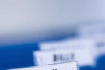 File all tax-related documents in a folder for easy retrieval and reference when completing your tax returns.