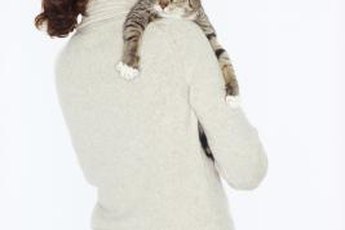 When your cat's sick, take extra care of him.