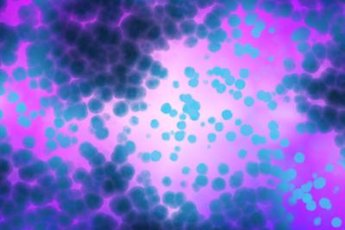 Good bacteria in your colon destroy toxins produced by bad bacteria.