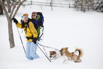 Cross-country skiing is a leisure sport, so you can take in the sights.