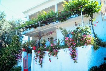Garden Screening Ideas Home Guides Sf Gate