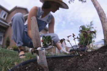 How To Preen Vegetable Garden Flowers For Weed Control Home