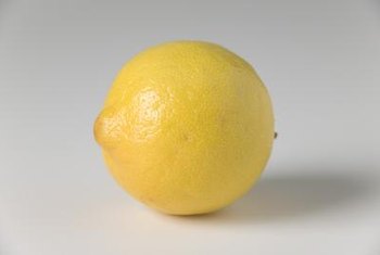 When to Plant a Meyer Lemon Tree in Zone 9? | Home Guides | SF Gate