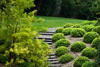Landscaping Ideas: How to Stabilize a Steep Slope | Home ...