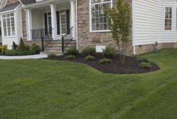 Landscaping from Plan Home and Garden