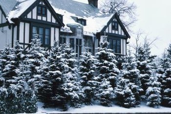 Facts About The Spruce Tree Home Guides Sf Gate Certain Spruce Trees Can Act As A Windbreak And Privacy Screen