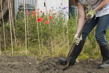 How To Get Rid Of Weeds And Rocks In Your Yard Home Guides Sf Gate Take A Break Every 15 Minutes When Digging Up Rocks And Weeds