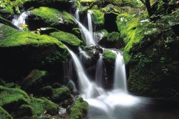 Backyard waterfall stream