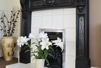 Is There Any Kind Of A Houseplant That Could Sit By A Fireplace
