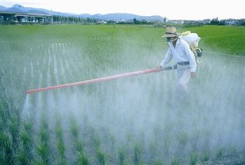 excessive use of insecticides and pesticides