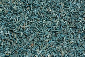 Is Eucalyptus Mulch Toxic To Plants Home Guides Sf Gate The Kind Of Wood Chip Mulch You Use May Make A Difference