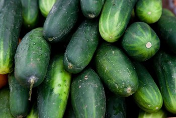 How to Grow Hydroponic Greenhouse Cucumbers in a Bucket 