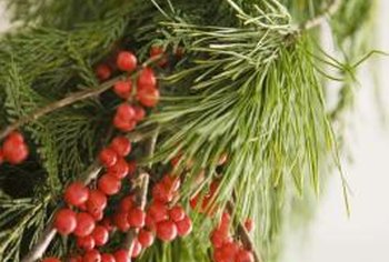 How To Decorate A Doorway With Greenery And Tulle Home