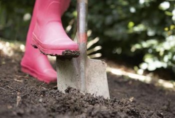 monkeybusinessimages/iStock/Getty Images Wet garden spots can be troublesome unless you find plants that thrive in those conditions.