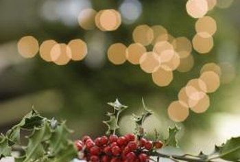 How To Make Christmas Decorations Out Of Holly Berries Home