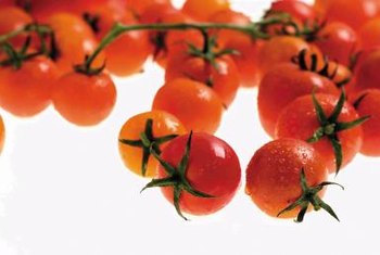 How to Grow Sweet 100 Cherry Tomatoes | Home Guides | SF Gate