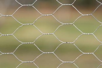 How To Create A Fence With Chicken Wire For Climbing Vines Home