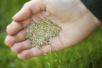 How Does Hay Affect the Growth of New Grass? | Home Guides | SF Gate