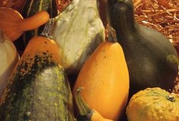 How To Preserve Decorative Gourds Home Guides Sf Gate - 