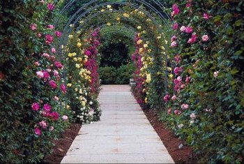 How To Use A Pergola As An Entryway Home Guides Sf Gate