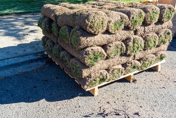 How Much Will One Pallet of Sod Cover? | Home Guides | SF Gate