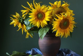 How to Cut Sunflowers to Put in a Vase | Home Guides | SF Gate