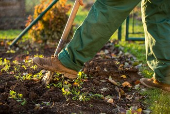 How to Lay Landscaping Fabric | Home Guides | SF Gate