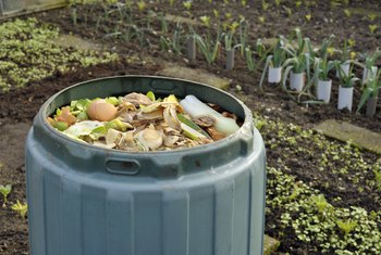 How to Put Moldy Food in Compost | Home Guides | SF Gate