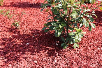 Which Mulch Is Best For Repelling Bugs Home Guides Sf Gate