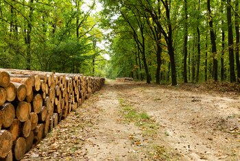landscape lumber