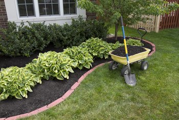 Should I Buy Topsoil Or Potting Soil For My Flower Vegetable