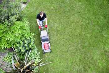 My Lawnmower Blades Won't Engage | Home Guides | SF Gate