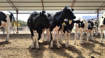 What Are the Dangers of Methane Gas?