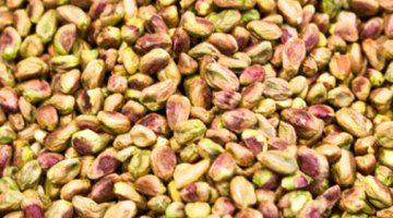 What Is the Function of the Cotyledon in the Seed?