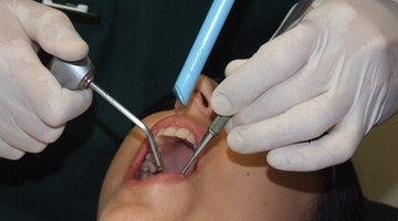 There are several dental schools in the top tier.