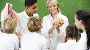 Teach kids about brain function after taking a brain test.