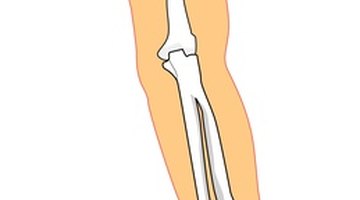 Through the ages, medical students have developed some rather clever ways to remember all that terminology.