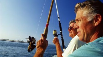 Is the Best Time to Fish Low or High Tide?