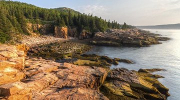 A cove in Arcadia National Park.