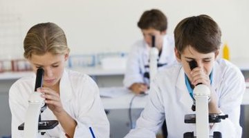 Students looking through microscopes